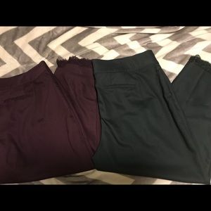 2 pairs lane Bryant Allie ankle with lace